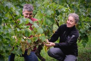 B&B / Chambres d'hotes Vignoble Chateau Piegue - winery : photos des chambres