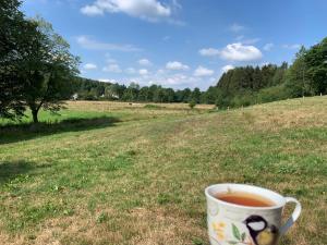 Maisons de vacances L'oriere des Bois : photos des chambres