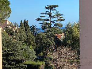 Saint Aygulf - a 250m de la mer- 3 pieces 45m2