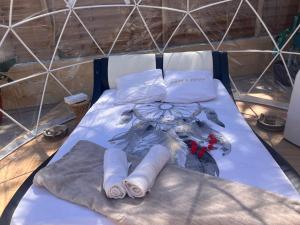 Tentes de luxe Bulle insolite Frejus : photos des chambres