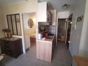 La Terrasse Ensoleillée de Sausset : Le Citronnier