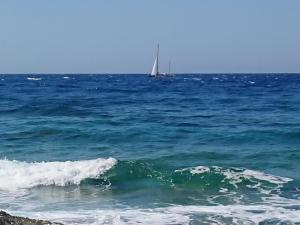 ~~ Sea Breeze covered house ~~