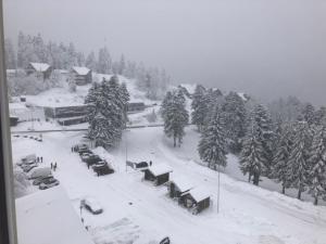 studio tout confort au pied des pistes du lioran