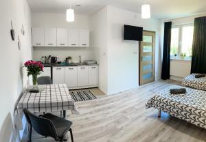 Apartamenty Mazal Dukla