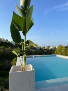 Dmg Villa - Jesus Pobre