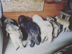 Sejours chez l'habitant OXPIRA : photos des chambres