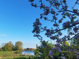 Gästehaus, Ferienwohnung, Monteurwohnung, Stedinger Landhotel