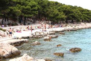 Apartments by the sea Tisno, Murter - 5113