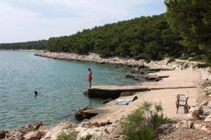 Apartments by the sea Tisno, Murter - 5113