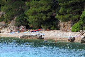 Apartments by the sea Zivogosce - Mala Duba, Makarska - 17077