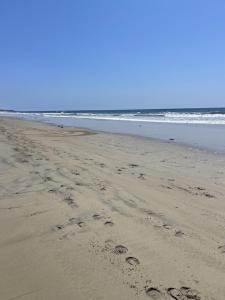 Tritons Place-Half Acre Oceanfront Paradise With Private Pool, Jacuzzi, Fire Pit, Beach Access