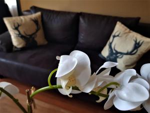 Le BonAparte - Hypercentre de Fontainebleau