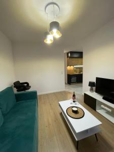 Katowice Apartament Modrzewiowa 24