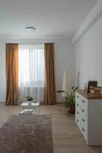 Solomon Apartments Ap 4 - Singeorgiu de Mures