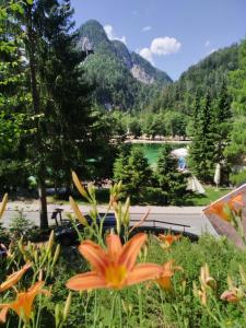 Hiša ob jezeru - House by the Lake