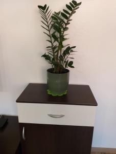 Apartments Battistutti - Free Private Parking