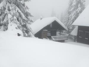 Apartment Bajta - Rogla