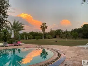 La Vie En Rose - Horses & Dogs House - Douar Châba