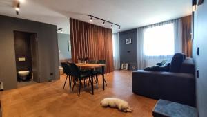 Dabintos Apartament Druskininkai