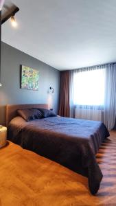 Dabintos Apartament Druskininkai