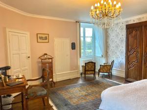 B&B / Chambres d'hotes Chateau de la Preuille Bed & Breakfast : photos des chambres