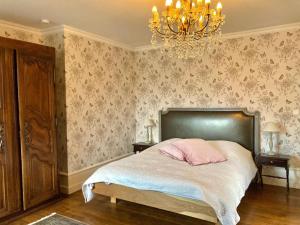 B&B / Chambres d'hotes Chateau de la Preuille Bed & Breakfast : photos des chambres