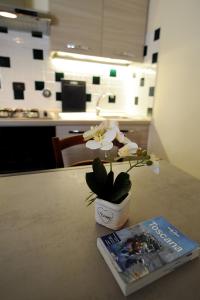 Appartement 1 Chambre