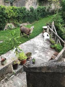 Appartements La Belle Vedere - Appartement dans la canopee : photos des chambres