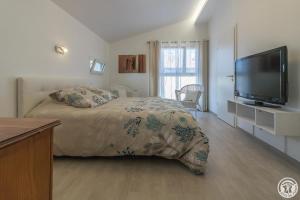 B&B / Chambres d'hotes COSY LODGE TOULOUSE : photos des chambres