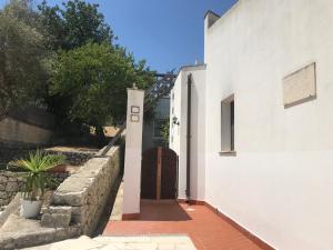 L’Ulivo