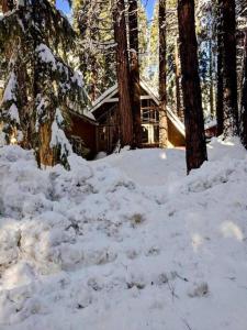 Modern Cabin Get Away - close to APPLE HILL