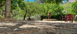 Alojamiento Turístico El Pantano de Cazorla