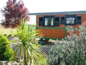 Roulotte accès privatif spa - Terraube