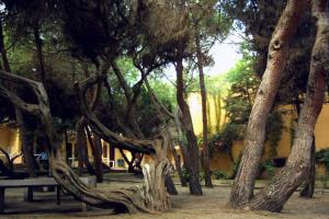 Club Hotel Residence Baiaverde img38