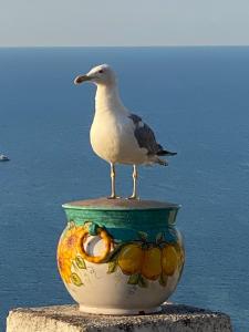 MAR-ISA Amalfi Coast
