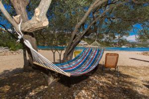 Guest house Punta