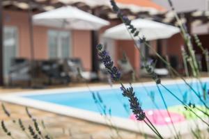 Villa Magdalena, Biograd na Moru