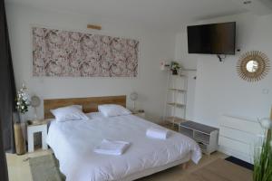 Maisons d'hotes DNJ Appart Hotel : photos des chambres