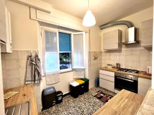 Il giardino delle Cycas