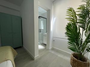 LUMINOSO APARTAMENTO RECIÉN REFORMADO