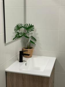 LUMINOSO APARTAMENTO RECIÉN REFORMADO