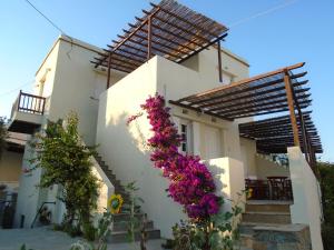 Christina Apartments in Tinos