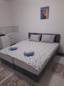Apartmani Pejovic
