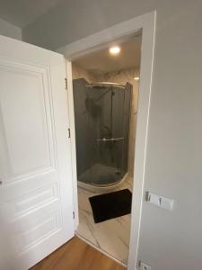 Feelings Apartment apartamenti Smiltene