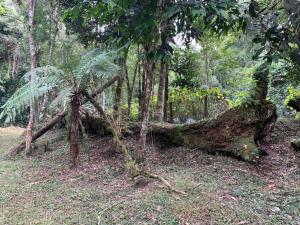 Cabana do Vale em Campos do JordãoSP