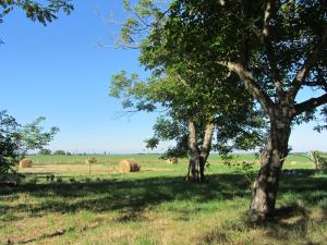 Maisons d'hotes Chambres d'hotes Les Pieds dans l'herbe : photos des chambres
