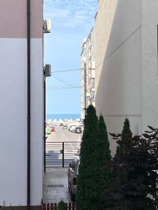 Sea la vie