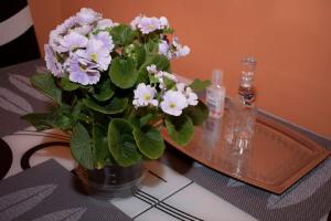 Central Studio Maria