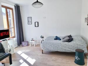 Appartements Le BarberShop, centre ville, parking gratuit : photos des chambres