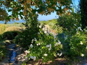 B&B / Chambres d'hotes Mas des Olives : photos des chambres